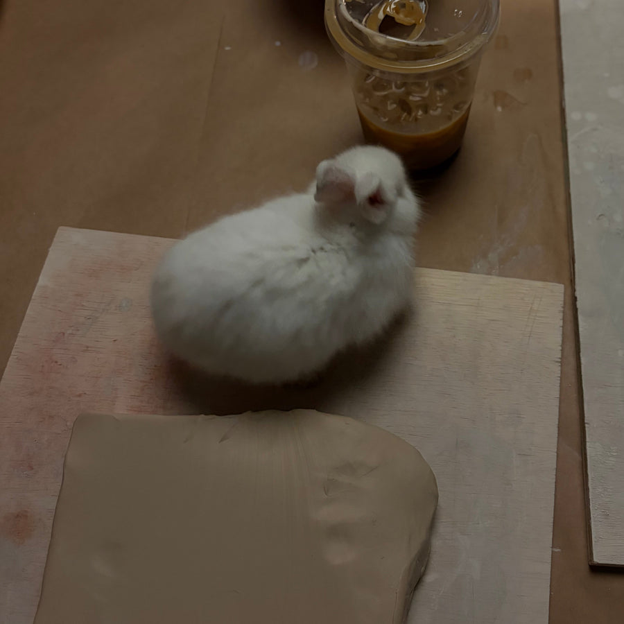 Bunny Art Café — Miami